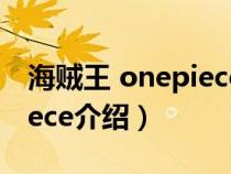 海贼王 onepiece指的是什么（海贼王onepiece介绍）