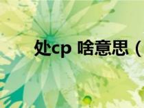 处cp 啥意思（网络上处cp是啥意思）