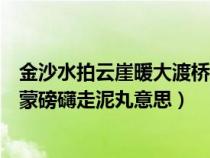 金沙水拍云崖暖大渡桥横铁索寒的意思（五岭逶迤腾细浪乌蒙磅礴走泥丸意思）