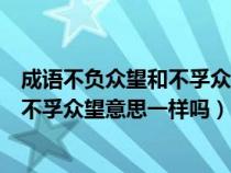 成语不负众望和不孚众望意思一样吗对吗（成语不负众望和不孚众望意思一样吗）