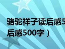 骆驼祥子读后感500字初一优秀（骆驼祥子读后感500字）