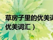 草房子里的优美词汇和精彩句段（草房子里的优美词汇）