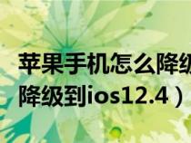 苹果手机怎么降级到出厂系统（苹果手机怎么降级到ios12.4）