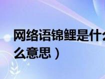 网络语锦鲤是什么意思?（网络用语锦鲤是什么意思）