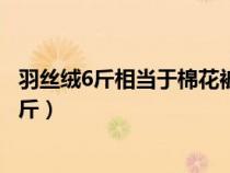 羽丝绒6斤相当于棉花被几斤呢（羽丝绒6斤相当于棉花被几斤）