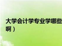 大学会计学专业学哪些课程（大学会计专业都学习哪些课程啊）