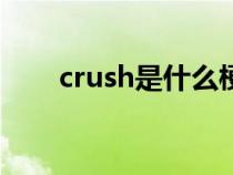 crush是什么梗（deideidei什么梗）