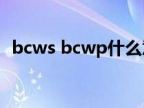 bcws bcwp什么意思（bcwp是什么意思）