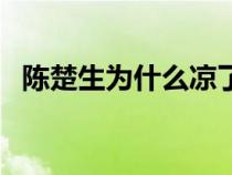 陈楚生为什么凉了（陈楚生为什么被封杀）