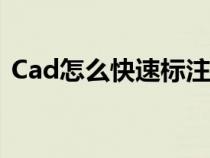 Cad怎么快速标注坐标（cad怎么快速标注）