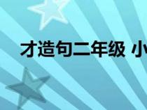 才造句二年级 小学简单（才造句二年级）