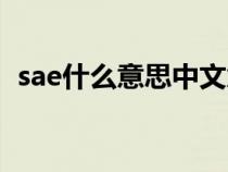 sae什么意思中文意思（sae代表什么意思）