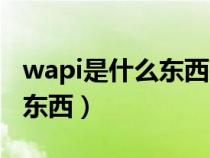 wapi是什么东西关了网会卡吗（wapi是什么东西）