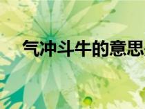 气冲斗牛的意思是啥（气冲斗牛的意思）