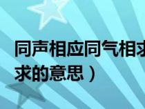 同声相应同气相求出自哪里（同声相应同气相求的意思）