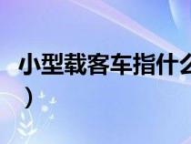 小型载客车指什么车型（小型载客车指什么车）