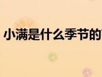 小满是什么季节的节气满（小满是什么季节）