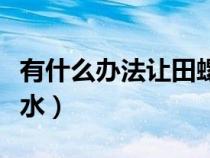 有什么办法让田螺吐泥（什么方法让田螺吐泥水）