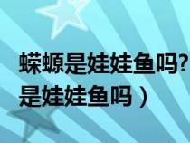 蝾螈是娃娃鱼吗?哪种蝾螈有毒不能碰?（蝾螈是娃娃鱼吗）