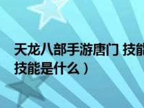 天龙八部手游唐门 技能 属性 攻略（天龙八部手游唐门怒气技能是什么）