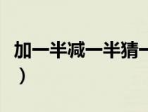 加一半减一半猜一个字（加一半减一半打一字）