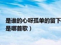 是谁的心呀孤单的留下是哪首歌词（是谁的心呀孤单的留下是哪首歌）