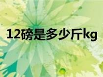 12磅是多少斤kg（12磅等于多少多少公斤）