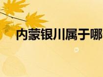 内蒙银川属于哪个省（银川属于哪个省）