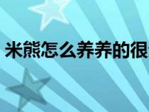 米熊怎么养养的很亲近人（米熊的饲养方法）