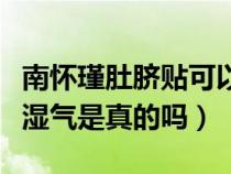 南怀瑾肚脐贴可以瘦肚子吗（南怀瑾肚脐贴去湿气是真的吗）