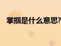 掌掴是什么意思? 亮亮（掌掴是什么意思）