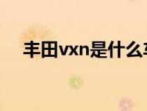 丰田vxn是什么车（丰田vx是什么车型）