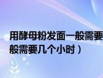 用酵母粉发面一般需要几个小时才能发好（用酵母粉发面一般需要几个小时）