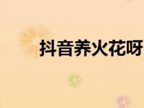 抖音养火花呀（养火花有什么意义）