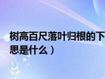 树高百尺落叶归根的下一句是什么（树高百尺落叶归根的意思是什么）