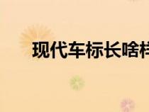 现代车标长啥样（现代车标志是什么）