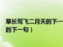 草长莺飞二月天的下一句拂堤杨柳醉春烟（草长莺飞二月天的下一句）