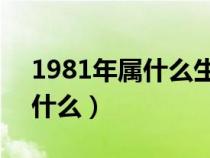 1981年属什么生肖 今年多大了（1981年属什么）