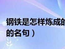 钢铁是怎样炼成的名句俄语（钢铁是怎样炼成的名句）