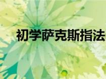 初学萨克斯指法图解（初学萨克斯指法）