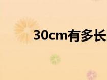 30cm有多长图片（30cm有多长）