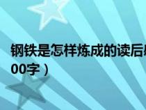 钢铁是怎样炼成的读后感800字（钢铁是怎样炼成的读后感500字）