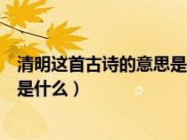 清明这首古诗的意思是什么最简单的（清明这首古诗的意思是什么）