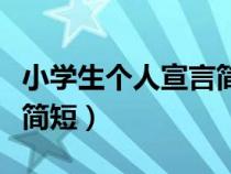 小学生个人宣言简短一年级（小学生个人宣言简短）