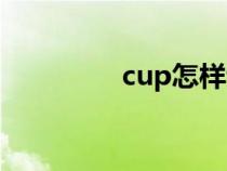 cup怎样读（cup如何读）