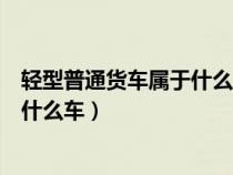 轻型普通货车属于什么车型图片及价格（轻型普通货车属于什么车）