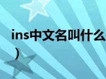 ins中文名叫什么（Insplre的中文名字是什么）