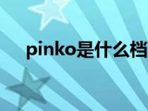 pinko是什么档次牌子（pinko是什么）