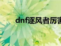 dnf逐风者厉害吗（dnf逐风者介绍）