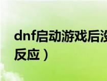 dnf启动游戏后没反应了（dnf启动游戏后没反应）